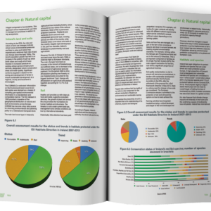 Environment Ireland Yearbook 2024/25